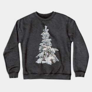 Frosty snow covered tree - winter spruce Crewneck Sweatshirt